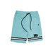 Hello Stranger Varsity Short - Mint
