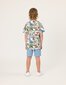 Radicool Dude Smokey Blue Denim Short