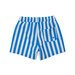 Crywolf Board Short - Deep Ocean Stripe