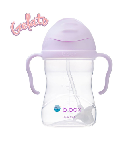 B.Box Sippy Cup V2 - Boysenberry