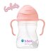 B.Box Sippy Cup V2 - Tutti Frutti
