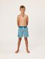 Radicool Dude Chequerboard Boardies - Petrol/White