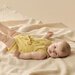 Wilson & Frenchy Sunny Sorbet Knitted Tie Bodysuit