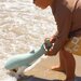 Sunnylife Sand Claws Whale - Green