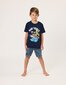 Radicool Dude Acid Wash Blue Denim Short