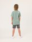 Radicool Dude Grasslands Stripe Tee