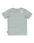 Radicool Dude Grasslands Stripe Tee