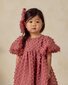 Noralee Luna Dress Raspberry