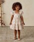 Noralee Louella Dress Rose Meadow