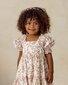 Noralee Louella Dress Rose Meadow
