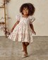 Noralee Louella Dress Rose Meadow