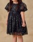 Noralee Luna Dress Night Sky