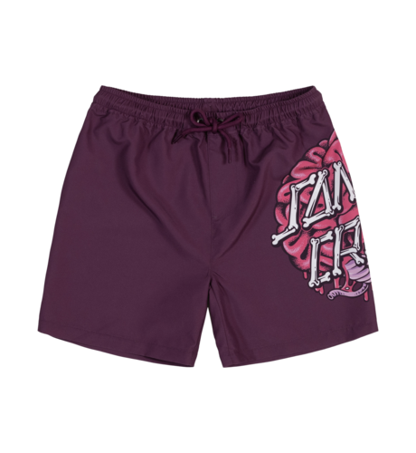 Santa Cruz Brain Dot Boardshorts - Maroon