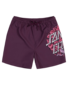 Santa Cruz Brain Dot Boardshorts - Maroon