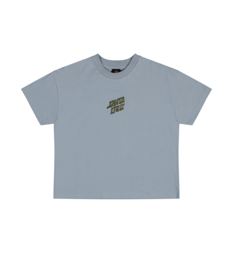 Santa Cruz Brain Dot Centre Tee - Slate