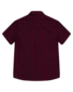 Santa Cruz Not A Dot Hollow S/S Shirt - Maroon