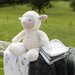 TLLC Boxed Gift Set - Farmyard Lamb