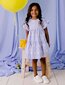 Designer Kidz Alice Gingham Tiered Dress - Blue Broderie