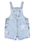 Fox & Finch Grow Wild Flower Applique Denim Overall