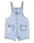 Fox & Finch Grow Wild Flower Applique Denim Overall
