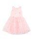 Bebe Pink Floral Embroidered Back Bow Tulle Dress