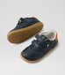 Bobux I-Walk Hunter Sneaker - Navy