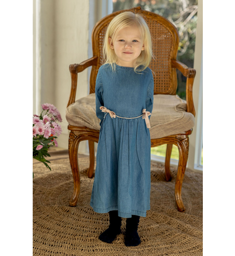 Alex & Ant Yvette Dress - Chambray