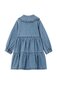Denim Tiered Collared Dress