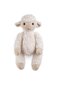 Wonderlings Dolly Sheep