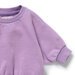 Berry Organic Terry Sweat
