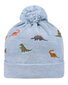 Toshi Organic Beanie Mystical - Dino Bubs
