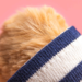 Jellycat Batholomew Bear Seafarer Outfit