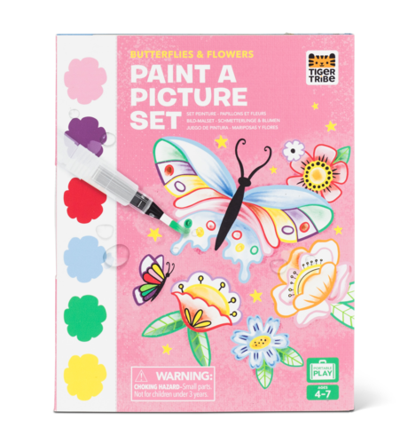 Paint A Picture Set - Butterflies & Flowers