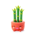 Hey Clay Plant Friends - 15 Cans