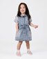 Goldie + Ace Piper Pinstripe Denim Belted Dress