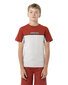 Santa Cruz Fisheye Strip Front S/S Tee - Red