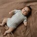 Nature Baby S/S Bodysuit - Stripe Trio