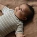 Nature Baby S/S Bodysuit - Stripe Trio