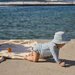Nature Baby Ruffle Swim Shorts - Blue Gingham