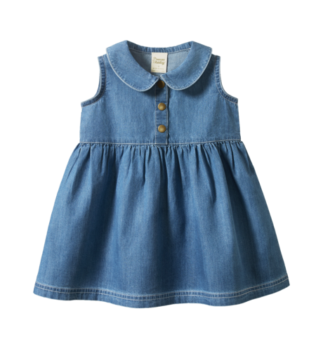 Nature Baby Birdy Dress - Sky