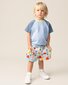Das Ist Maurice Shorts - Picnic