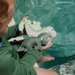 Sunnylife Dive Buddies Dino Set of 3
