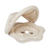 Sunnylife Baby Float Into the Garden - Ditsy Floral