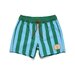 Crywolf Board Short - Deck Stripe