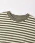 Quincy Mae Velour Relaxed Sweatshirt - Spruce Stripe