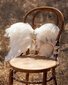 Noralee Angel Wings - Ivory Shimmer