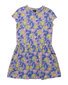 Hello Stranger Palma Dress Island Vibes - Hawaii Print