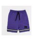 Hello Stranger Varsity Short - Purple