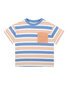 Fox & Finch Phoenix Stripe Tee