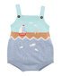 Bebe Max Organic Hand Embroidered Knitted Bodysuit